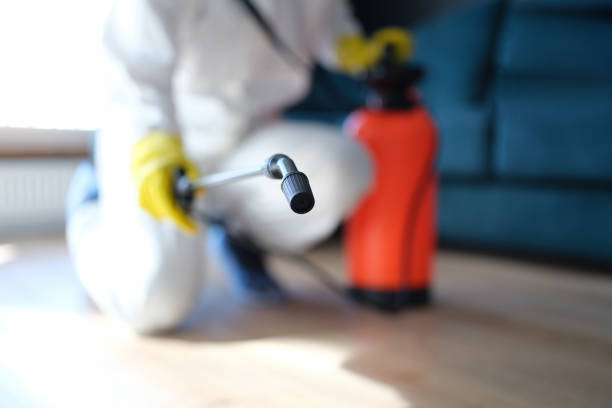 Best Mold Damage Restoration  in Leonia, NJ